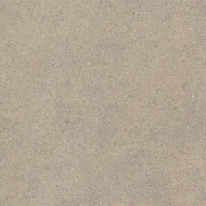 VALVA GRIS