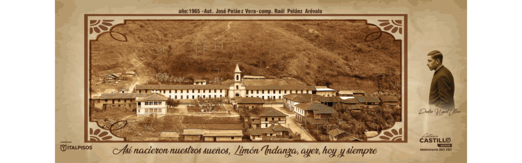 LIMON INDANZA